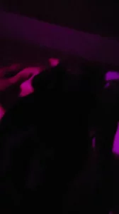 与朋友的老婆开房偷情