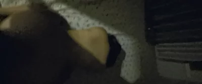 唐山迁安出来卖的