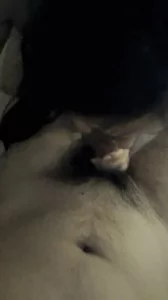 雪白少妇撅起屁股舔肉棒