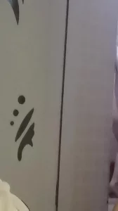 含羞草实验室隐藏路径2023